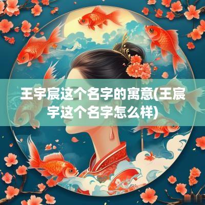 王宇宸这个名字的寓意(王宸宇这个名字怎么样)