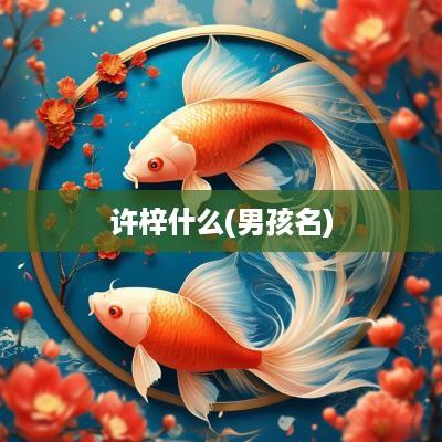 许梓什么(男孩名)