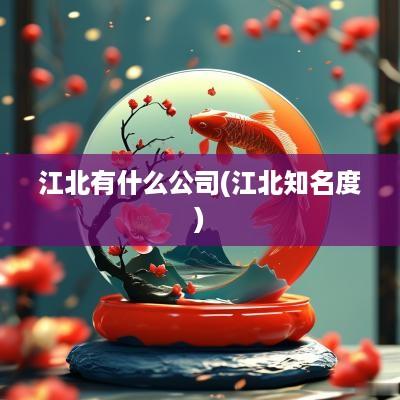 江北有什么公司(江北知名度)