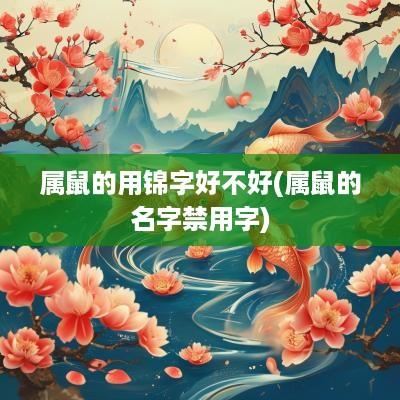 属鼠的用锦字好不好(属鼠的名字禁用字)