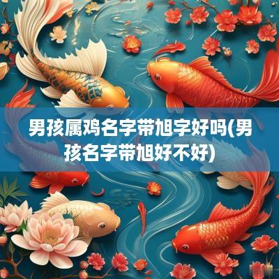 男孩属鸡名字带旭字好吗(男孩名字带旭好不好)