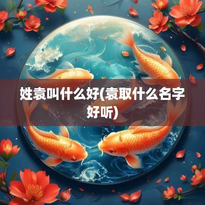 姓袁叫什么好(袁取什么名字好听)