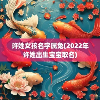 许姓女孩名字属兔(2025年许姓出生宝宝取名)