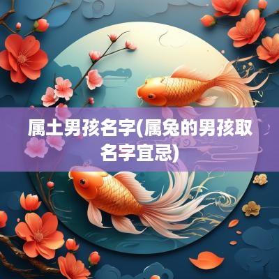 属土男孩名字(属兔的男孩取名字宜忌)