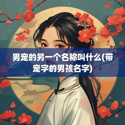 男宠的另一个名称叫什么(带宠字的男孩名字)