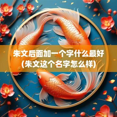 朱文后面加一个字什么最好(朱文这个名字怎么样)