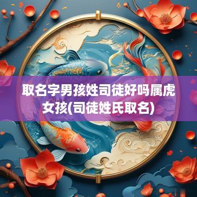 取名字男孩姓司徒好吗属虎女孩(司徒姓氏取名)