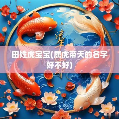 田姓虎宝宝(属虎带天的名字好不好)