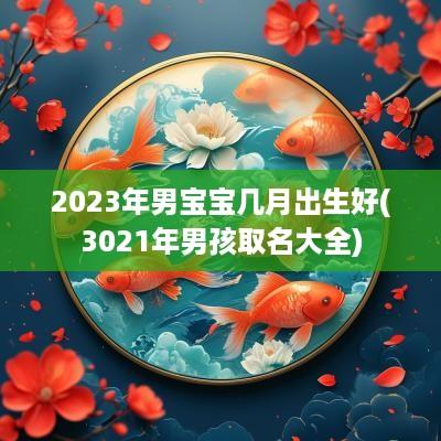 2025年男宝宝几月出生好(3021年男孩取名大全)