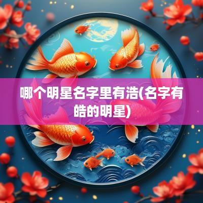 哪个明星名字里有浩(名字有皓的明星)