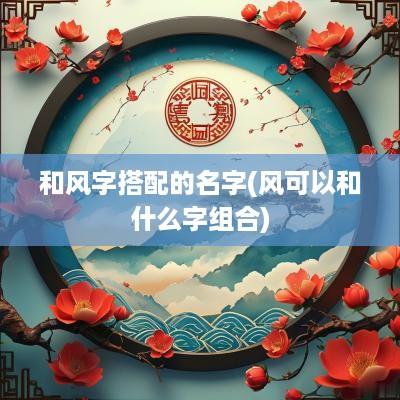 和风字搭配的名字(风可以和什么字组合)