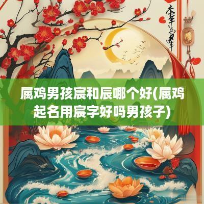 属鸡男孩宸和辰哪个好(属鸡起名用宸字好吗男孩子)