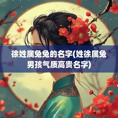 徐姓属兔兔的名字(姓徐属兔男孩气质高贵名字)