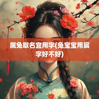 属兔取名宜用字(兔宝宝用宸字好不好)