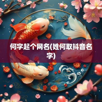 何字起个网名(姓何取抖音名字)