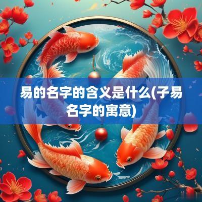 易的名字的含义是什么(子易名字的寓意)