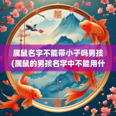 属鼠名字不能带小子吗男孩(属鼠的男孩名字中不能用什么字)