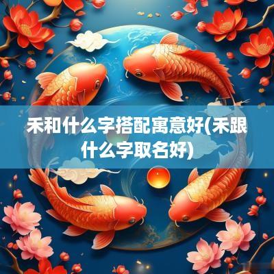 禾和什么字搭配寓意好(禾跟什么字取名好)
