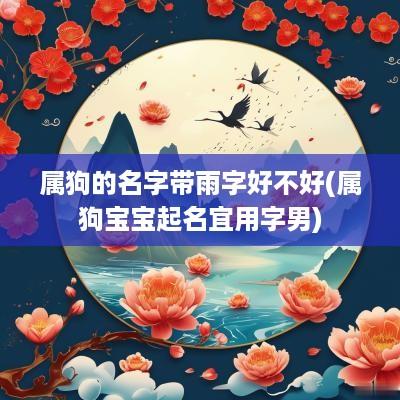 属狗的名字带雨字好不好(属狗宝宝起名宜用字男)