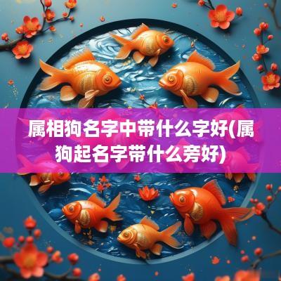 属相狗名字中带什么字好(属狗起名字带什么旁好)