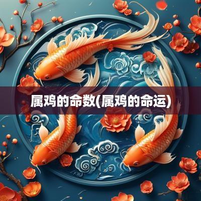 属鸡的命数(属鸡的命运)