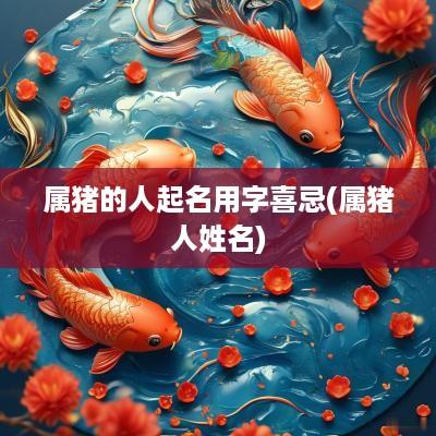 属猪的人起名用字喜忌(属猪人姓名)