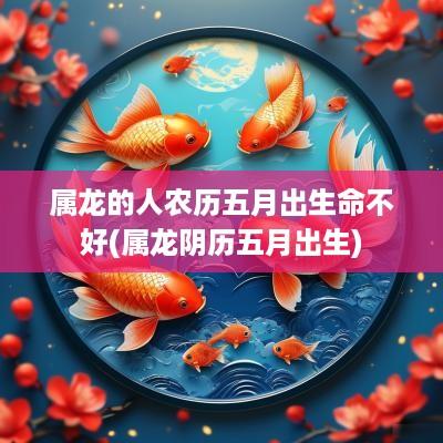 属龙的人农历五月出生命不好(属龙阴历五月出生)