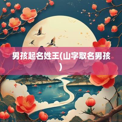 男孩起名姓王(山字取名男孩)