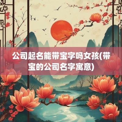 公司起名能带宝字吗女孩(带宝的公司名字寓意)