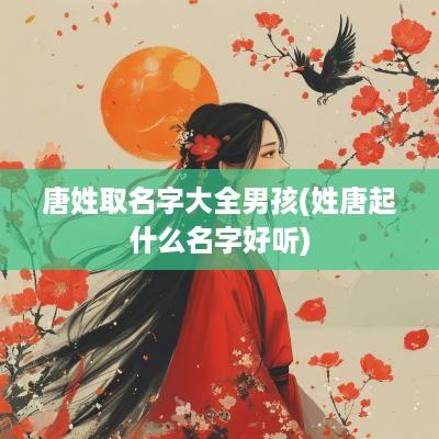 唐姓取名字大全男孩(姓唐起什么名字好听)