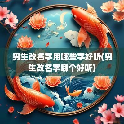 男生改名字用哪些字好听(男生改名字哪个好听)
