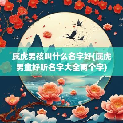 属虎男孩叫什么名字好(属虎男童好听名字大全两个字)