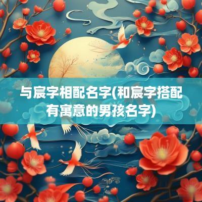 与宸字相配名字(和宸字搭配有寓意的男孩名字)