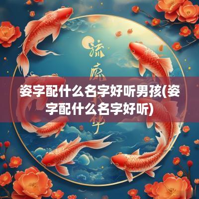 姿字配什么名字好听男孩(姿字配什么名字好听)