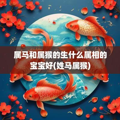 属马和属猴的生什么属相的宝宝好(姓马属猴)