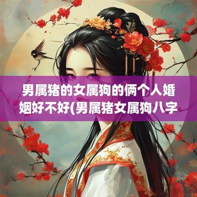 男属猪的女属狗的俩个人婚姻好不好(男属猪女属狗八字合吗)