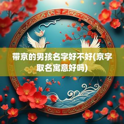 带京的男孩名字好不好(京字取名寓意好吗)