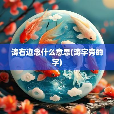 涛右边念什么意思(涛字旁的字)