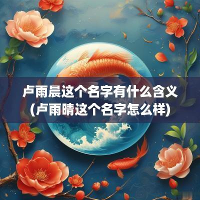 卢雨晨这个名字有什么含义(卢雨晴这个名字怎么样)