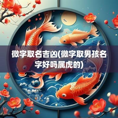 微字取名吉凶(微字取男孩名字好吗属虎的)