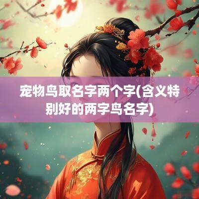 宠物鸟取名字两个字(含义特别好的两字鸟名字)