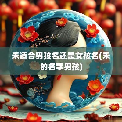 禾适合男孩名还是女孩名(禾的名字男孩)