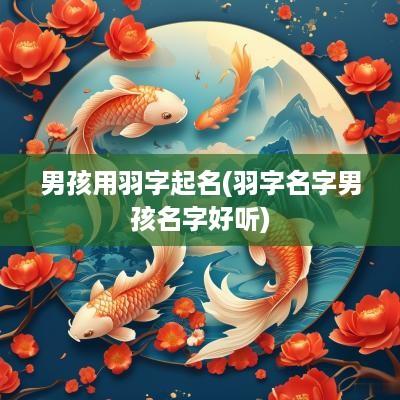 男孩用羽字起名(羽字名字男孩名字好听)