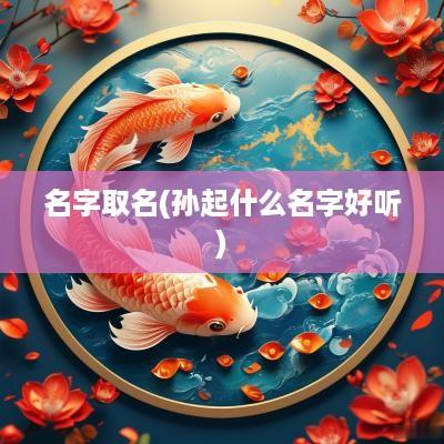 名字取名(孙起什么名字好听)