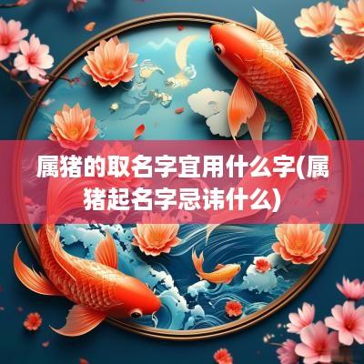 属猪的取名字宜用什么字(属猪起名字忌讳什么)