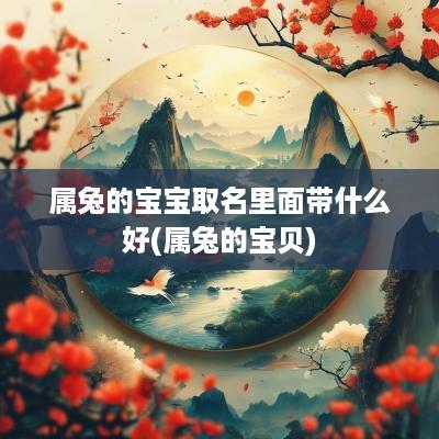 属兔的宝宝取名里面带什么好(属兔的宝贝)