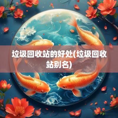 垃圾回收站的好处(垃圾回收站别名)