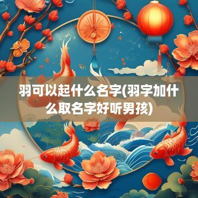 羽可以起什么名字(羽字加什么取名字好听男孩)