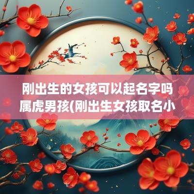 刚出生的女孩可以起名字吗属虎男孩(刚出生女孩取名小名)