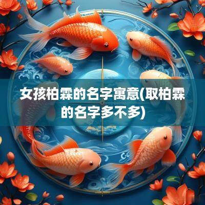 女孩柏霖的名字寓意(取柏霖的名字多不多)